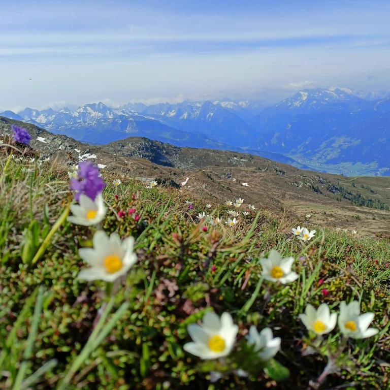 Ferienwohnung Leo - Apartment mit Blick auf die Berge - 13