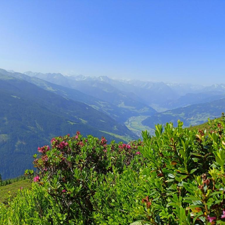Ferienwohnung Leo - Apartment mit Blick auf die Berge - 14