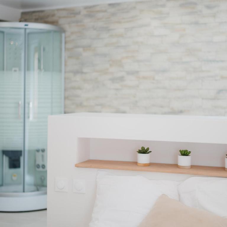 Magnifique Loft Balnéo Hammam #3 - Appartement 1 Chambre - 15