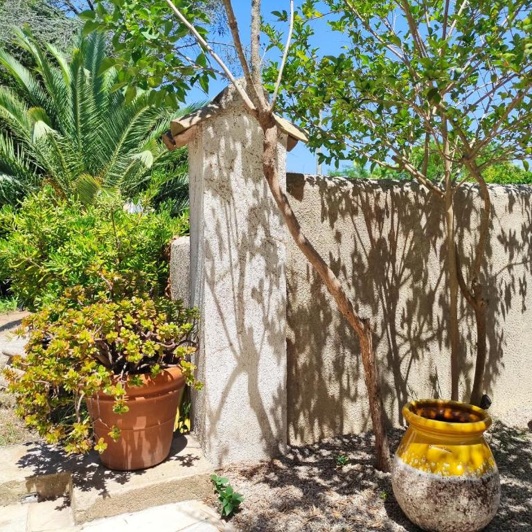 Les Térrasses de Saint-Tropez - Apartment mit 2 Schlafzimmern - 7