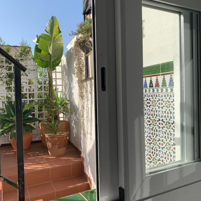 Palm House 10 - Two-Bedroom Apartment - 23
