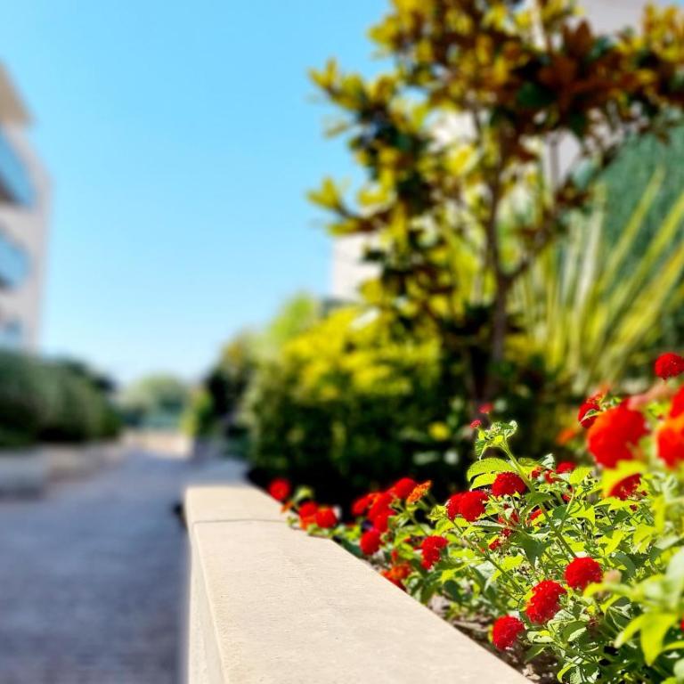 Apartamento diseño con jardín privado a 100 metros del mar - Apartamento de 2 dormitorios - 24