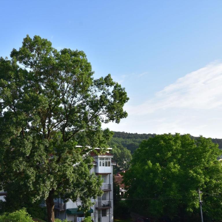 Apartman Point - Apartman sa 1 Spavaćom Sobom - 45