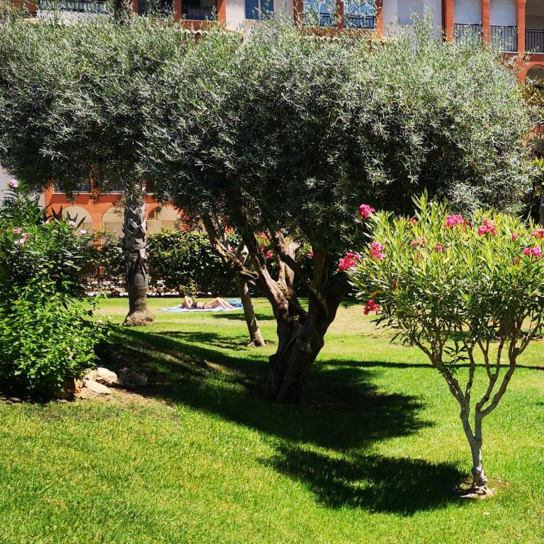 Studio with terrace and pool - Apartamento de 1 dormitorio - 21