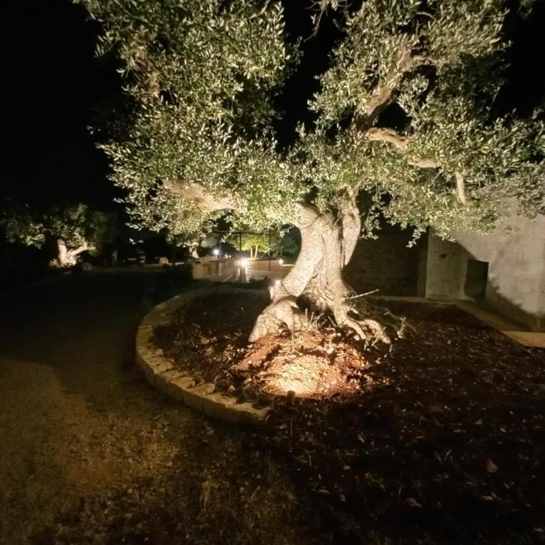 Il nido delle rondini - Casa Vacanze - 17