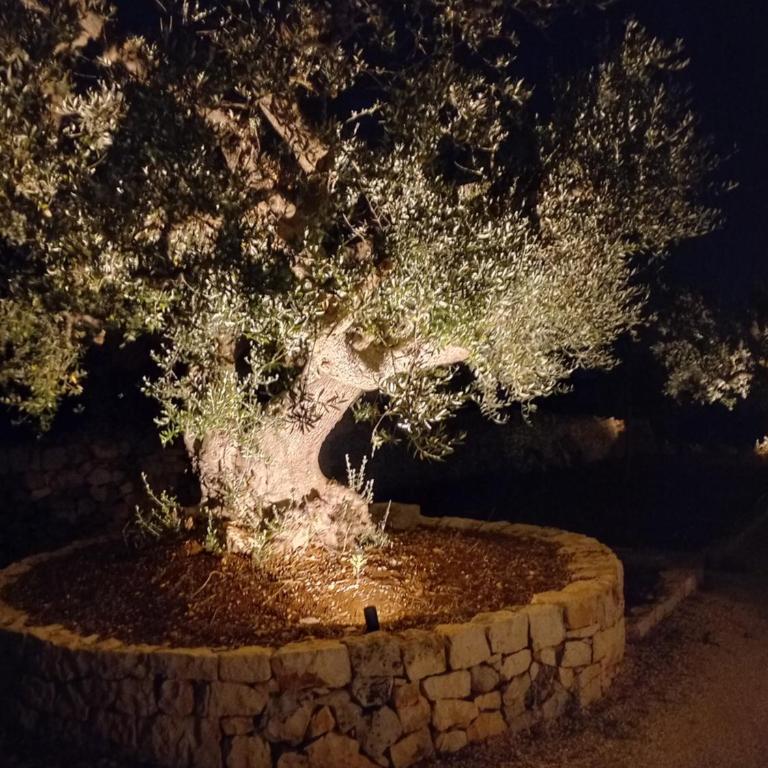 Il nido delle rondini - Casa Vacanze - 46