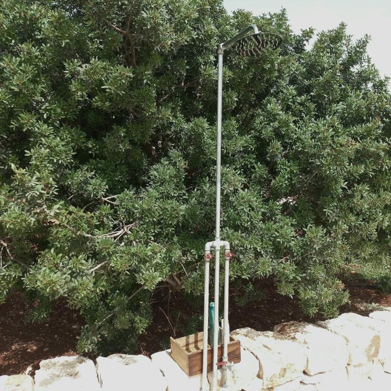 Il nido delle rondini - Casa Vacanze - 58