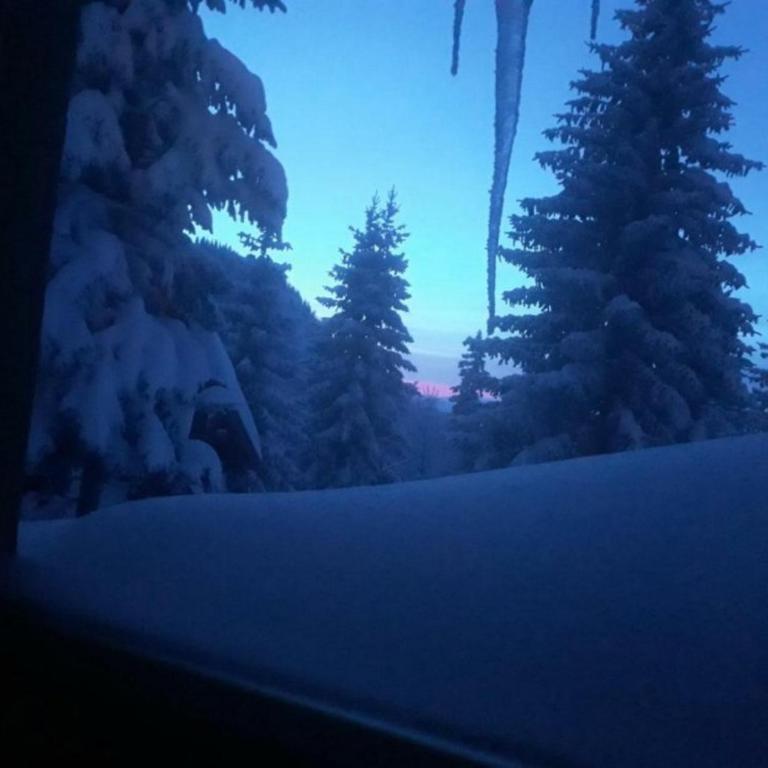 Planinska idila - uz stazu - Vacation Home - 24