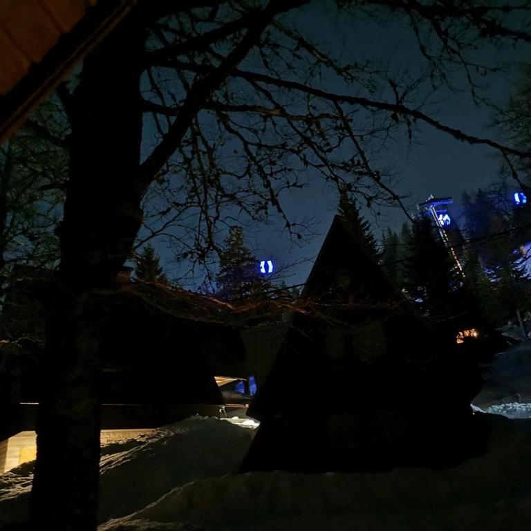 Planinska idila - uz stazu - Vacation Home - 18