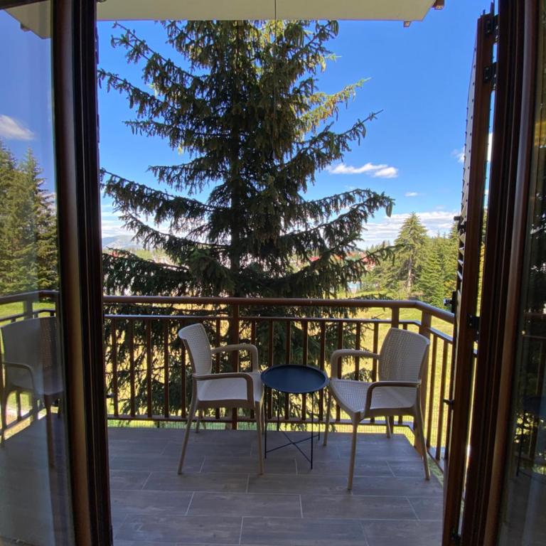 turisticki apartmani “Kraljeva stolica” - One-Bedroom Apartment - 30