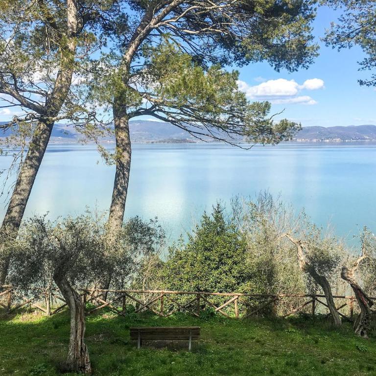 2 Bedroom Amazing Apartment In Cortona - Appartamento con 2 Camere da Letto - 6