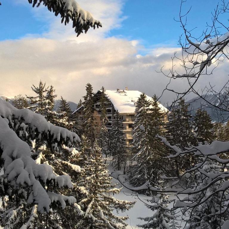 Apartment Crans-Montana near Ski Slopes - Appartement 3 Chambres - 62