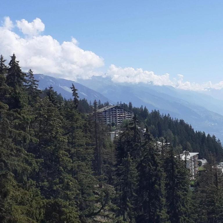 Apartment Crans-Montana near Ski Slopes - Appartement 3 Chambres - 60
