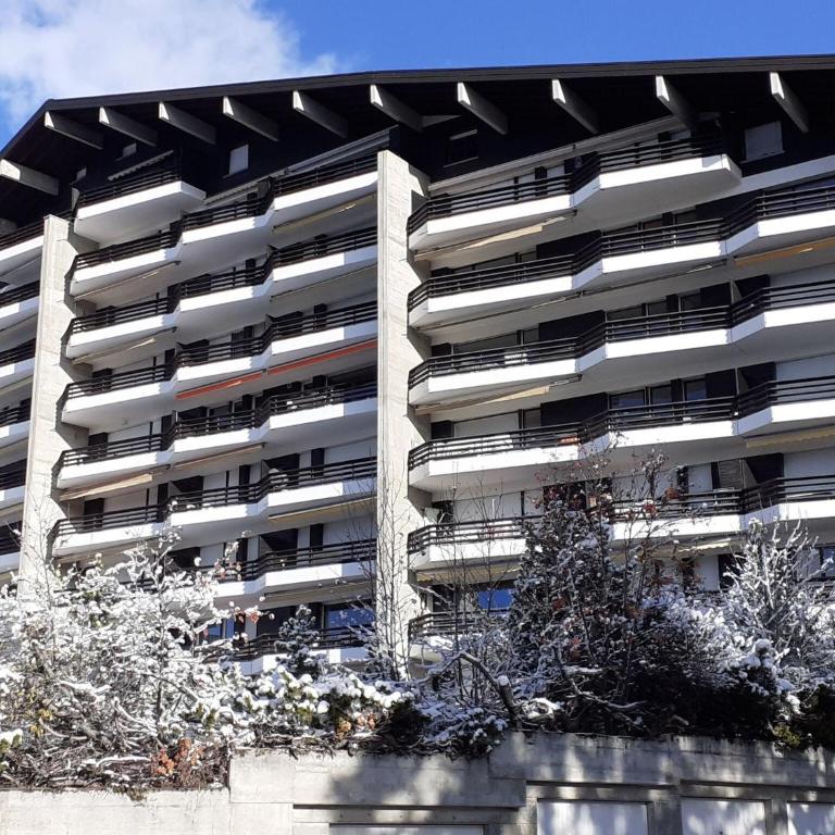 Apartment Crans-Montana near Ski Slopes - Appartement 3 Chambres - 42