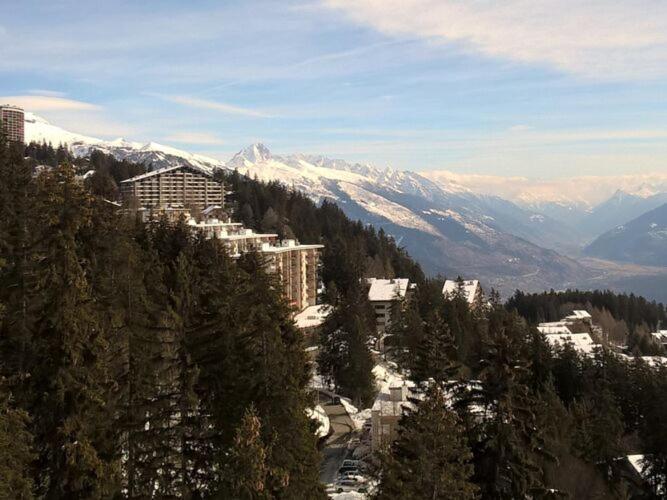 Apartment Crans-Montana near Ski Slopes - Appartement 3 Chambres - 61