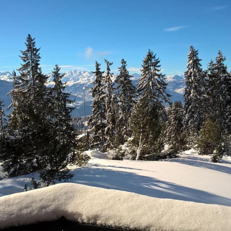 Apartment Crans-Montana near Ski Slopes - Appartement 3 Chambres - 48