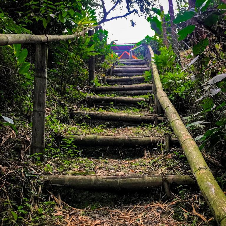 Cabaa Type Glamping - with swimming pool - Twin/Double Room - 38