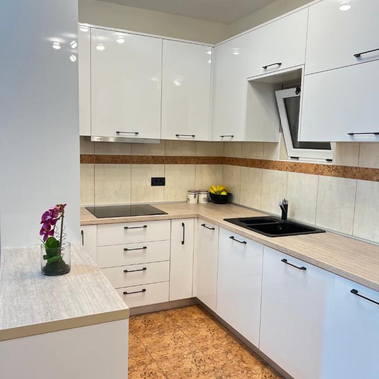 Vista Petrovac - One-Bedroom Apartment - 16