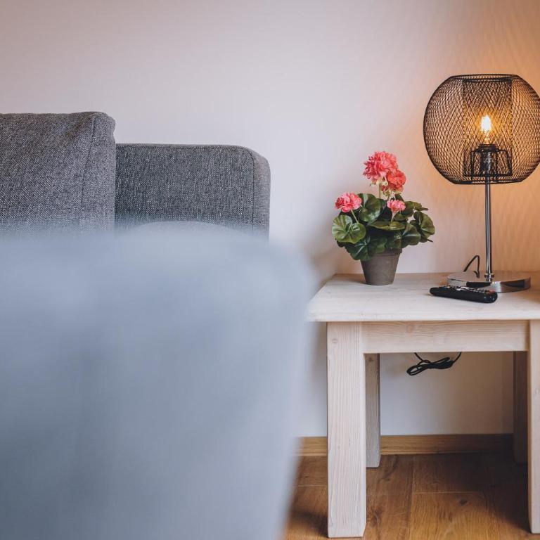 Premium Apartments Areit by we rent, SUMMERCARD INCLUDED - Apartment mit 3 Schlafzimmern - 43