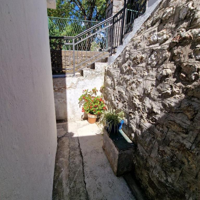 Apartman Mediteran - Apartman sa 1 Spavaćom Sobom - 20