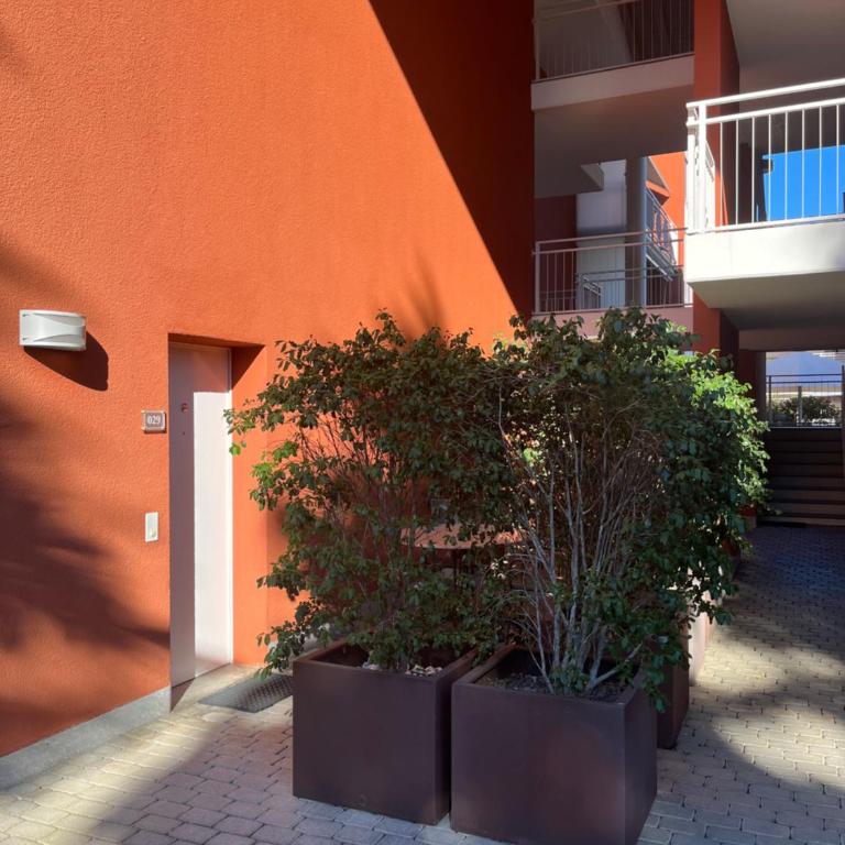 Hapimag Resort Ascona - Ground floor Studio no view - 3