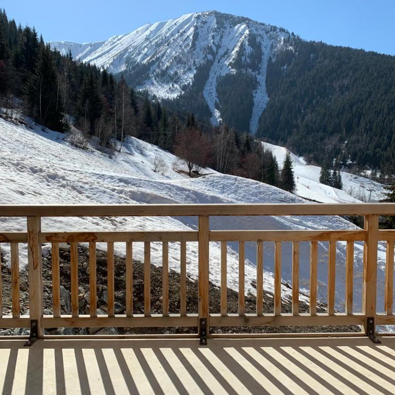 Oz sur son 31 residence l oree des pistes - Apartment mit 2 Schlafzimmern - 2