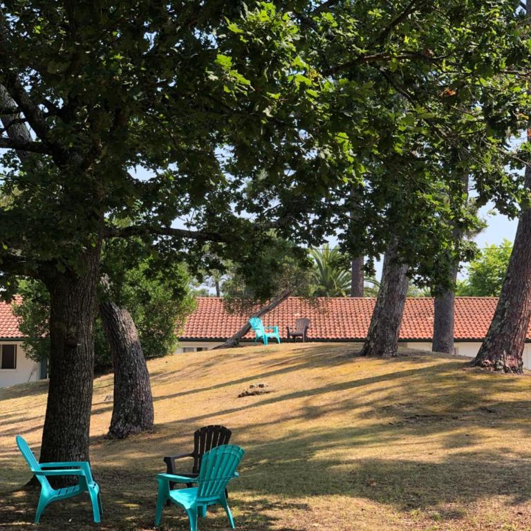 Les Pastourelles - Appartement - Vue sur Jardin - 1