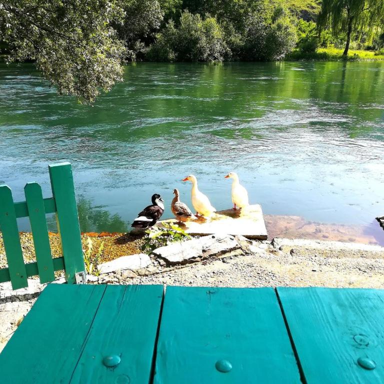 Riverside Buna - Mostar - Two-Bedroom Villa - 3