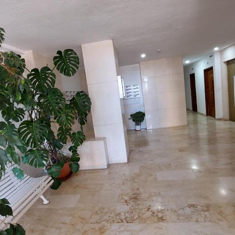 Apartamento Sirena - Apartamento de 1 dormitorio - 14