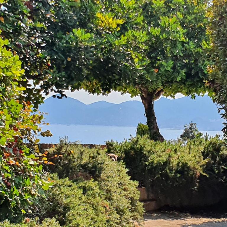 Haus mit Garten über der Bucht von Cannes - Maison 2 Chambres - 7