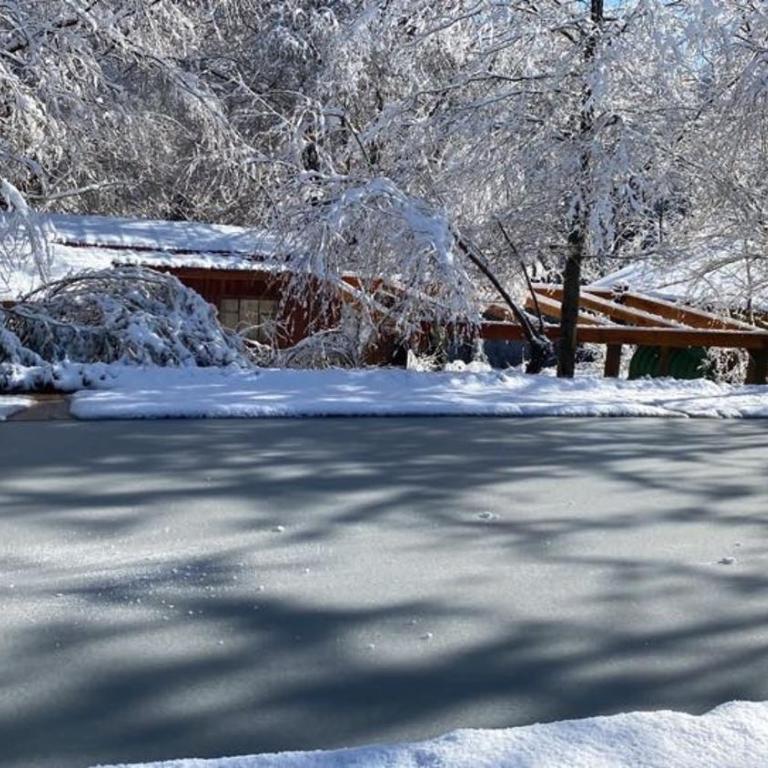Cabaña en el bosque-Termas de Chillán - Casa de 2 dormitorios - 36
