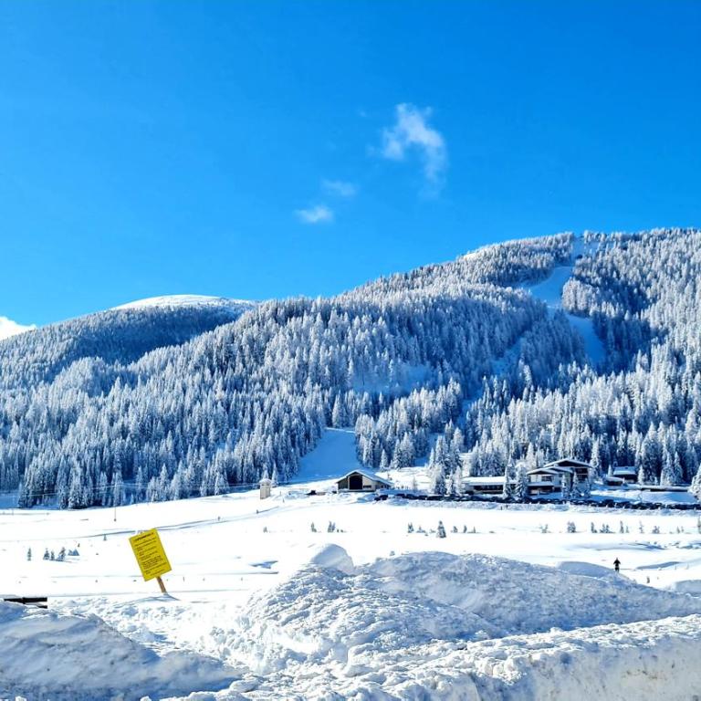 ALMHÜTTE Sunset - Flattnitz 1510m - Chalet mit 3 Schlafzimmern - 65