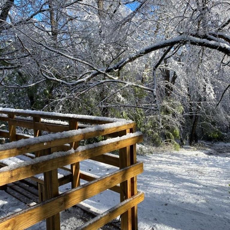 Cabaña en el bosque-Termas de Chillán - Casa de 2 dormitorios - 20