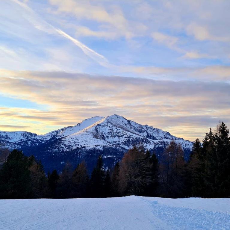ALMHÜTTE Sunset - Flattnitz 1510m - Chalet mit 3 Schlafzimmern - 5