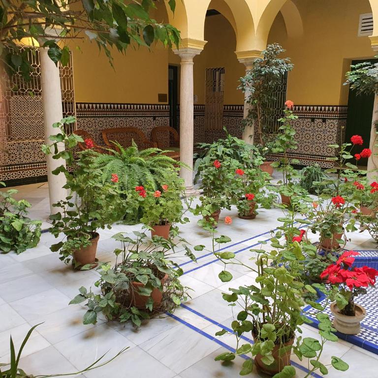 Apartamento Centro de Sevilla Histórico - Apartamento de 1 dormitorio - 11