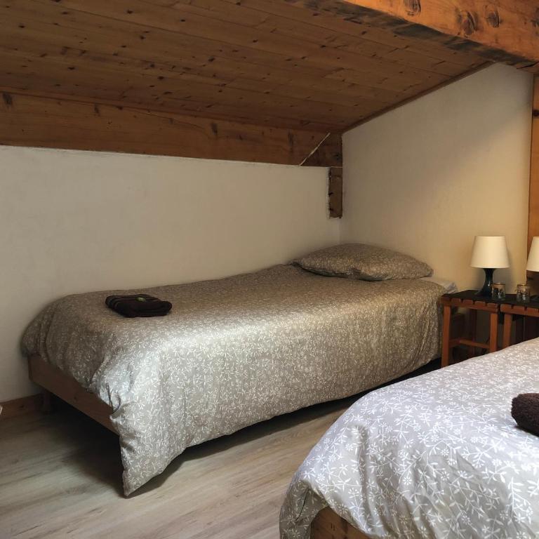 Central Hostel Chatel - Chambre Lits jumeaux/Double avec Salle de Bains Commune - 8