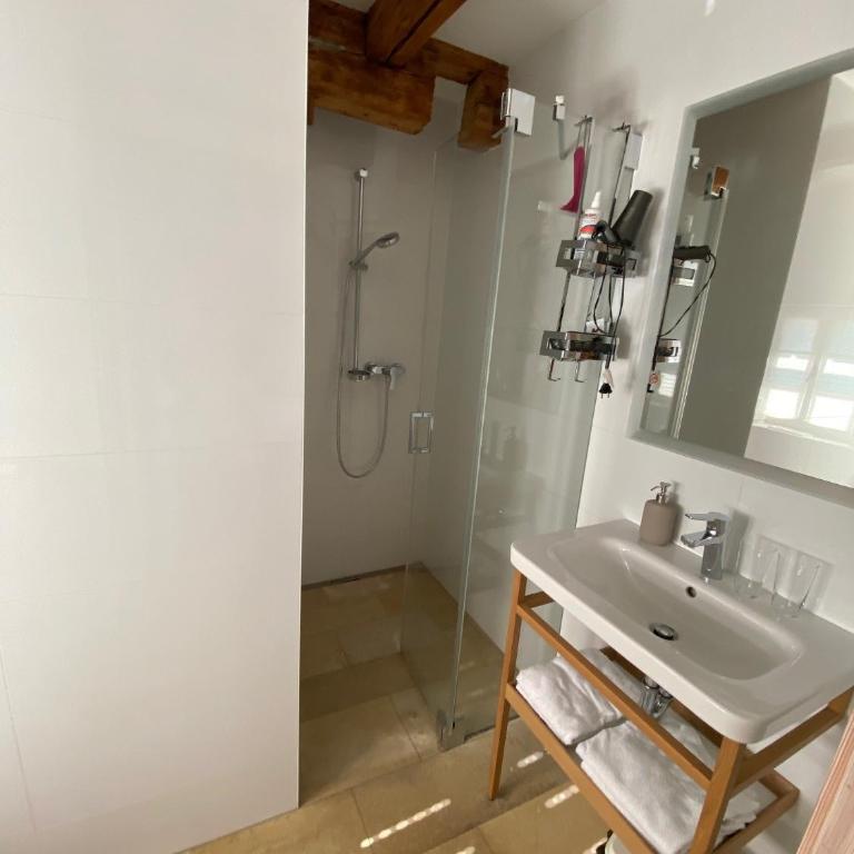 Appartement Georgiberg - Apartment mit Terrasse - 9