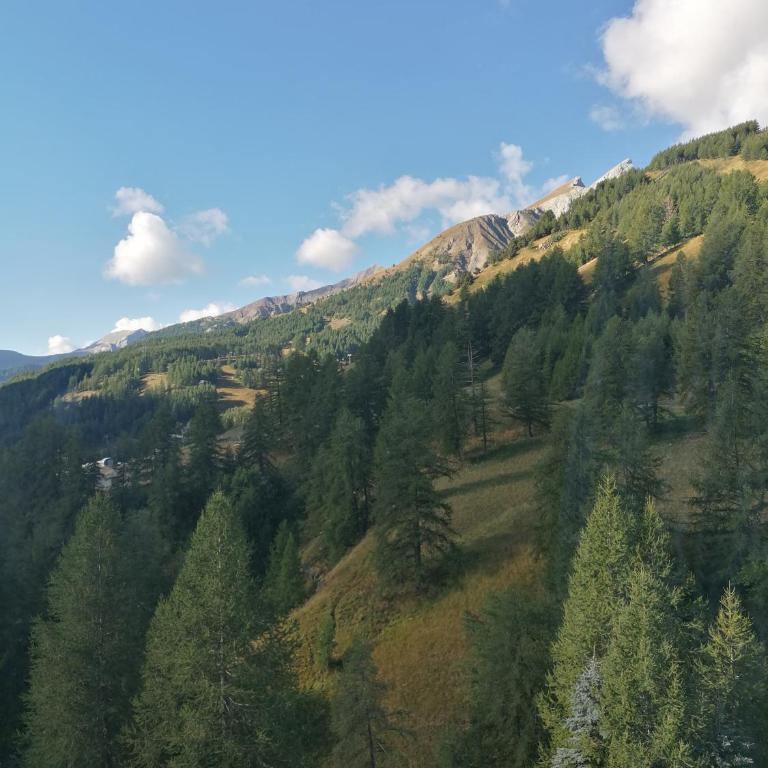 LA FOUX D'ALLOS Centre station, vue panoramique Quartier les étoiles 50m des remontées - Appartement 2 Chambres - 14