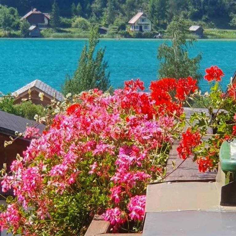 Haus Birke - Apartment mit 1 Schlafzimmer und Balkon - 36