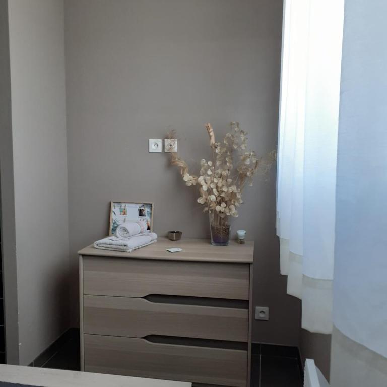 La petite maison au bord du canal T2 - 3étoiles - - Villa 1 Chambre - 25