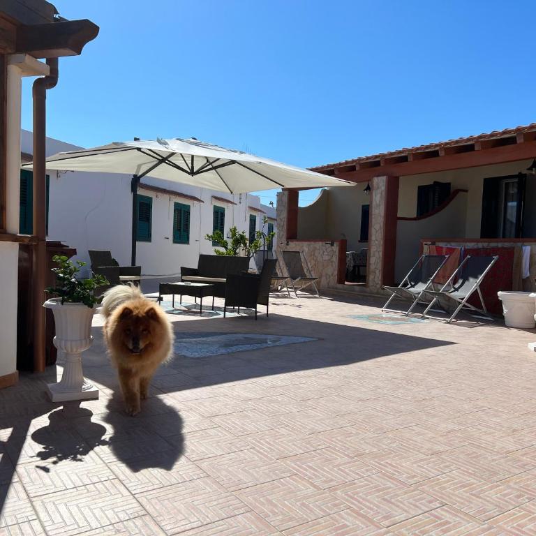 Appartamenti Pomelia - Lampedusa - Appartamento con 1 Camera da Letto - 14