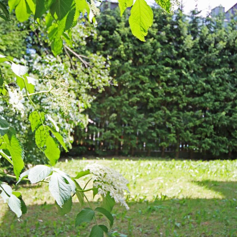 Aurturist S Candido Roulette - App.170, via Stazione, 29, San Candido - 1