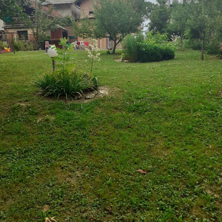 Apartman Dalal - with access to river Una - Two-Bedroom Apartment - 14