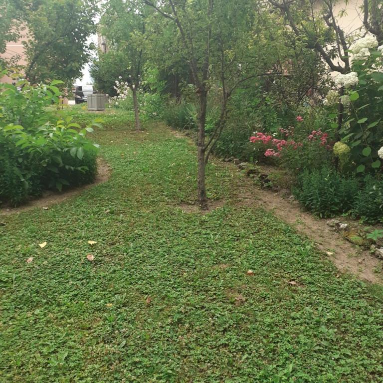Apartman Dalal - with access to river Una - Two-Bedroom Apartment - 11
