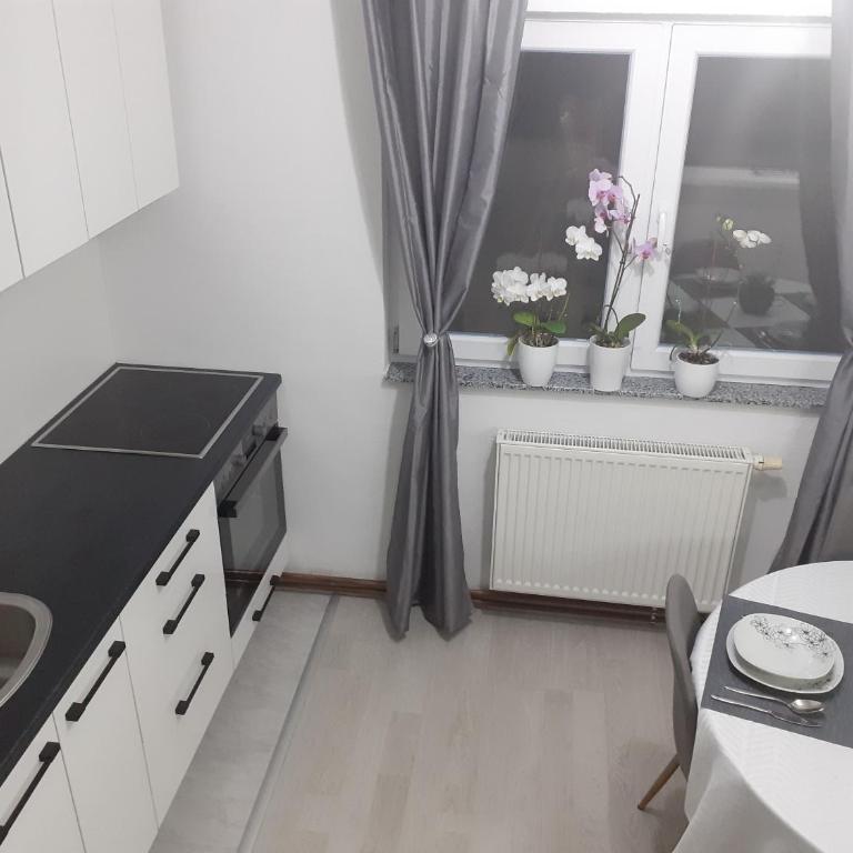 Apartman Dalal - with access to river Una - Two-Bedroom Apartment - 26