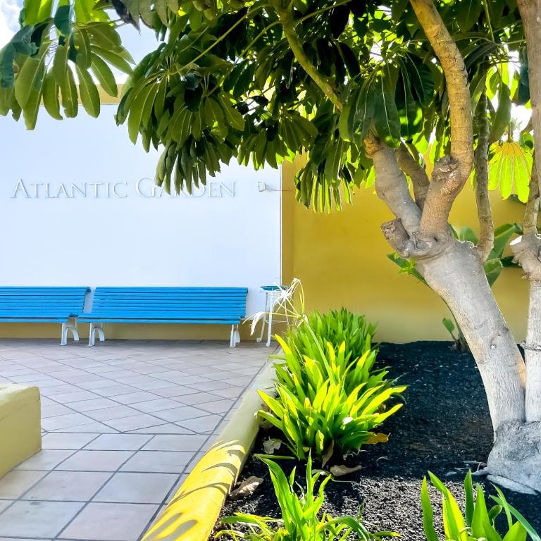 Casa Bella by Best Holidays Fuerteventura - One-Bedroom Apartment - 90
