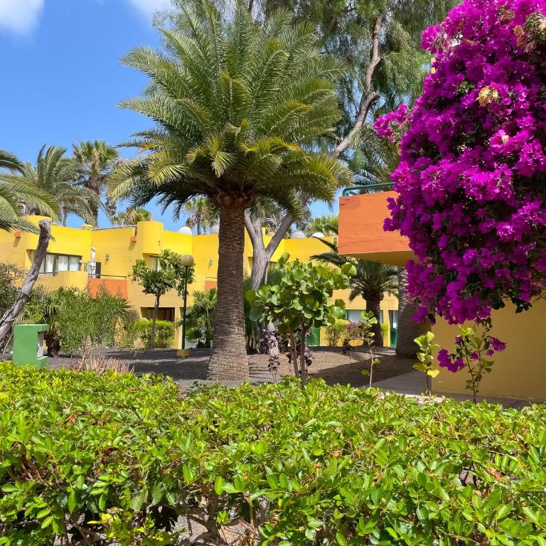 Casa Bella by Best Holidays Fuerteventura - One-Bedroom Apartment - 98
