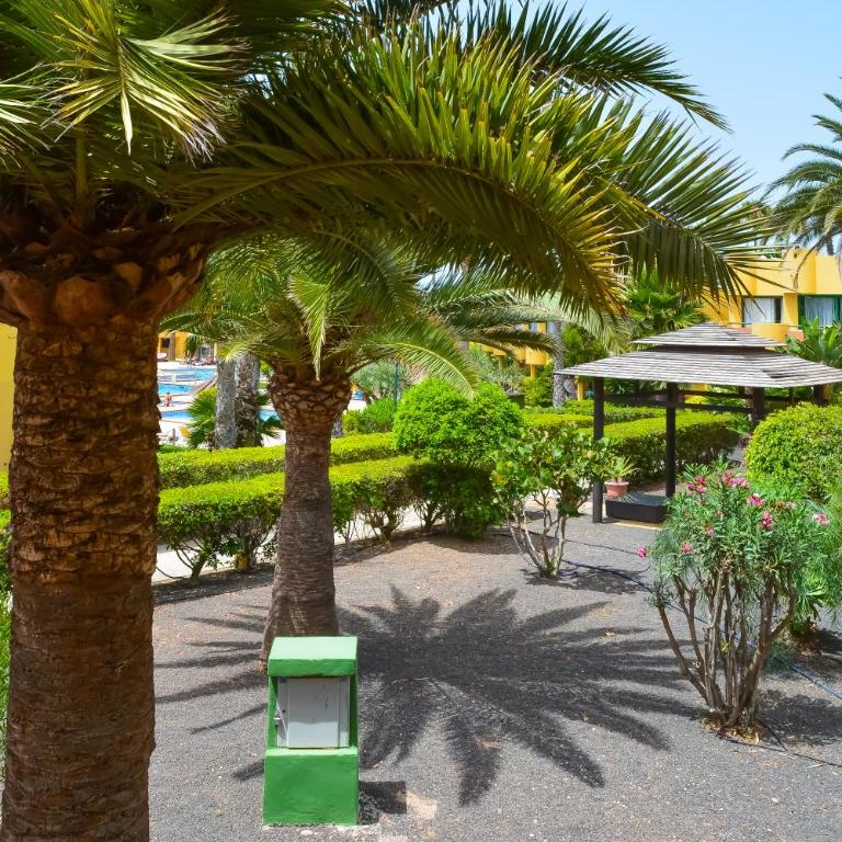 Casa Bella by Best Holidays Fuerteventura - One-Bedroom Apartment - 99
