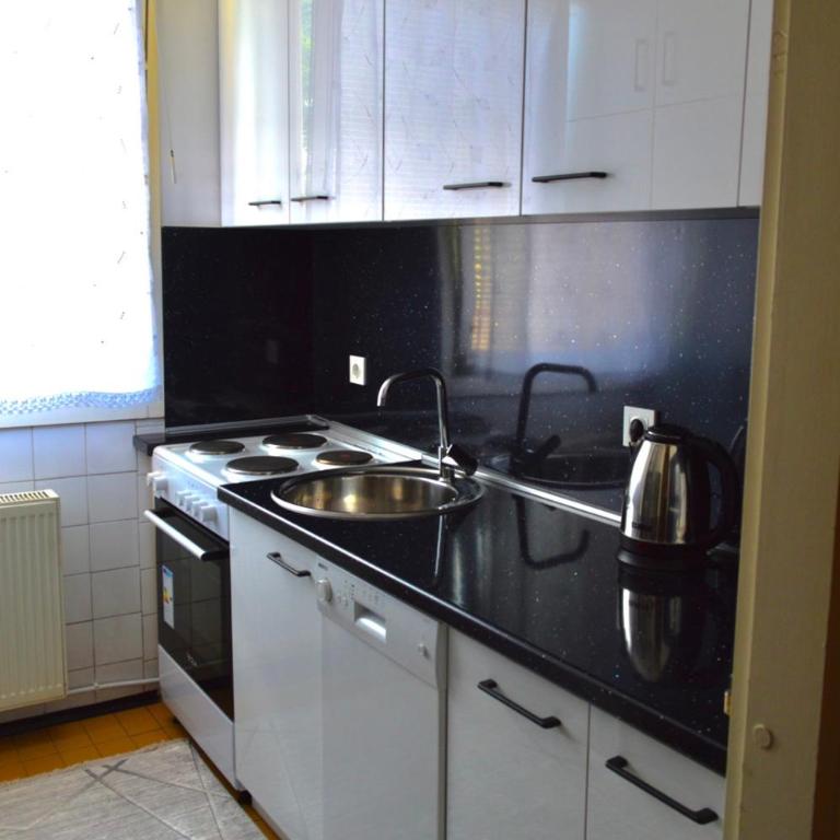 Apartman Sky-Parking-Garage - Apartman sa 2 Spavaće Sobe - 9