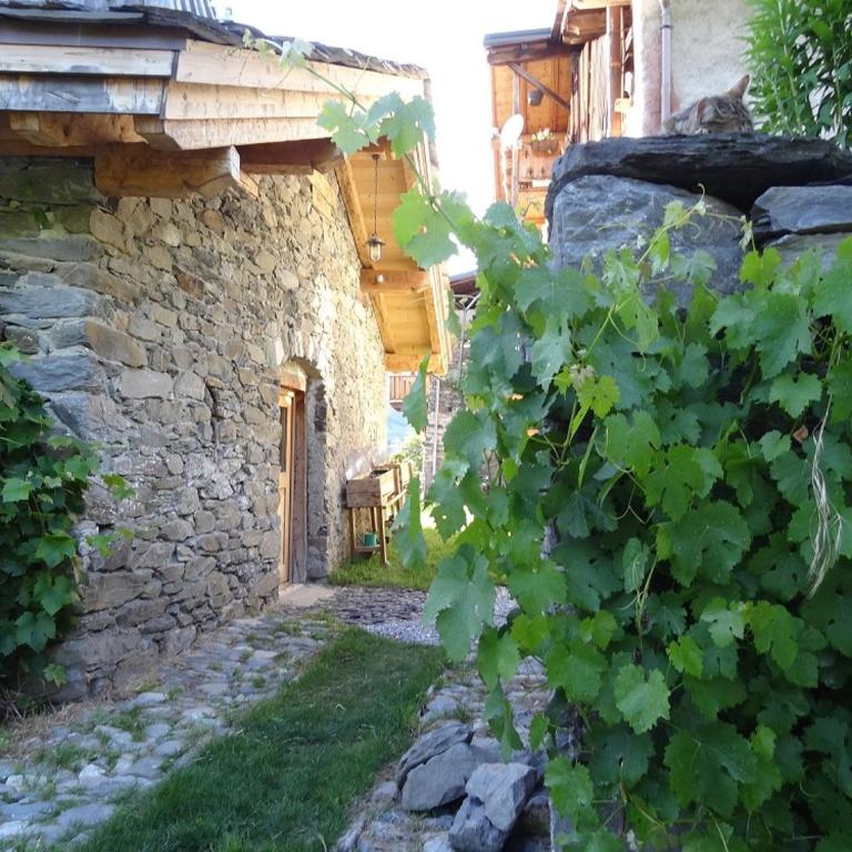 Bourg Saint Maurice Les Arcs - maisonnette grand confort dans charmant village de montagne ! - Chalet 1 Chambre - 1